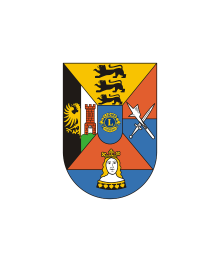 Lions Logo